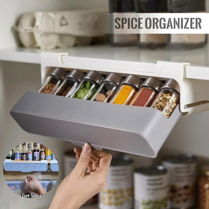 Under-Shelf Kitchen Spice Rack - Organizer